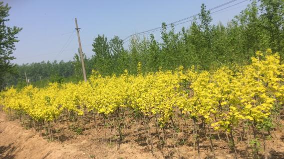 明光市市委书记被超凡国际企业文化深深感动 | 深入沟通合作空间广阔