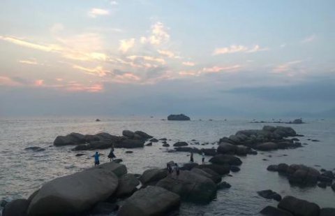 超凡国际：新的经营模式应当立足在商业模式之上